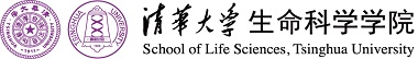 365买球的网址